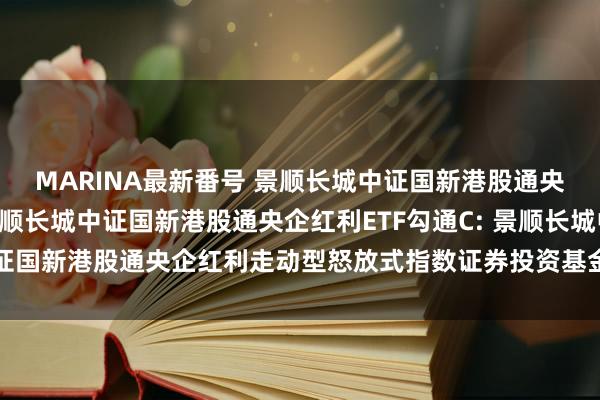 MARINA最新番号 景顺长城中证国新港股通央企红利ETF勾通A,景顺长城中证国新港股通央企红利ETF勾通C: 景顺长城中证国新港股通央企红利走动型怒放式指数证券投资基金勾通基金基金居品贵府提要