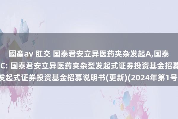 國產av 肛交 国泰君安立异医药夹杂发起A,国泰君安立异医药夹杂发起C: 国泰君安立异医药夹杂型发起式证券投资基金招募说明书(更新)(2024年第1号)