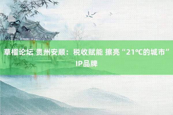 草榴论坛 贵州安顺：税收赋能 擦亮“21℃的城市”IP品牌