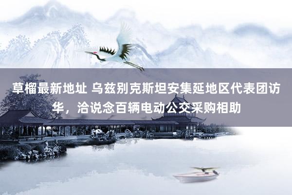草榴最新地址 乌兹别克斯坦安集延地区代表团访华，洽说念百辆电动公交采购相助