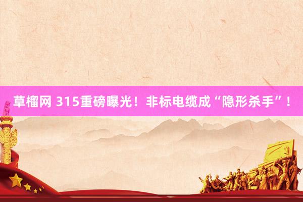 草榴网 315重磅曝光！非标电缆成“隐形杀手”！