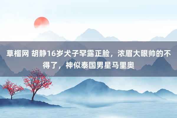 草榴网 胡静16岁犬子罕露正脸，浓眉大眼帅的不得了，神似泰国男星马里奥