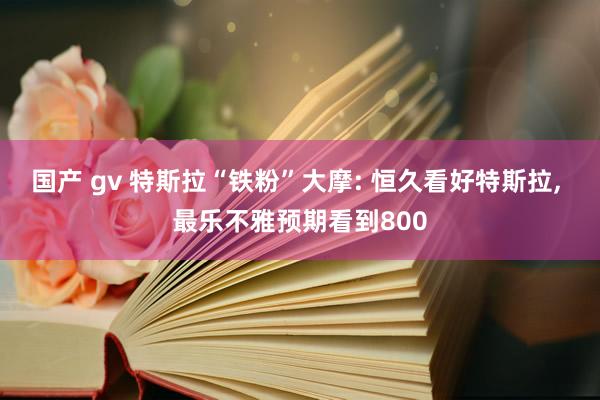 国产 gv 特斯拉“铁粉”大摩: 恒久看好特斯拉， 最乐不雅预期看到800