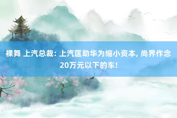裸舞 上汽总裁: 上汽匡助华为缩小资本， 尚界作念20万元以下的车!