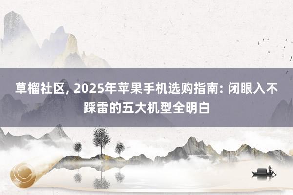 草榴社区， 2025年苹果手机选购指南: 闭眼入不踩雷的五大机型全明白