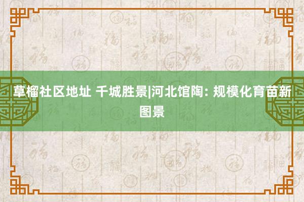 草榴社区地址 千城胜景|河北馆陶: 规模化育苗新图景