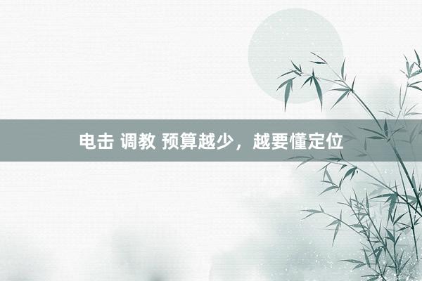 电击 调教 预算越少，越要懂定位