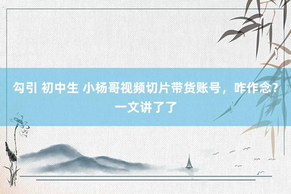 勾引 初中生 小杨哥视频切片带货账号，咋作念？一文讲了了